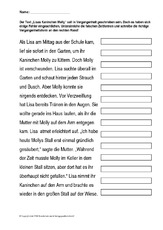Lisas-Kaninchen-Molly-Fehler-suchen.pdf